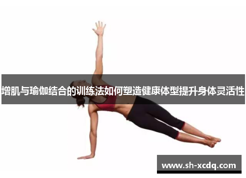 增肌与瑜伽结合的训练法如何塑造健康体型提升身体灵活性