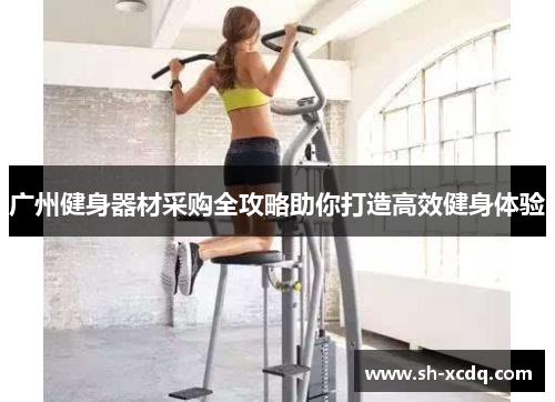 广州健身器材采购全攻略助你打造高效健身体验