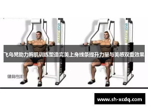飞鸟凳助力胸肌训练塑造完美上身线条提升力量与美感双重效果