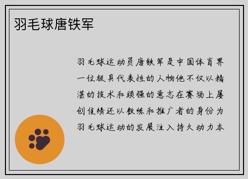 羽毛球唐铁军